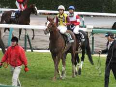 20150321 中山10R 韓国馬事会杯 ランドマーキュリー 09