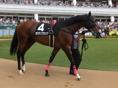 20170930 中山10R 習志野特別(1000) オウケンブラック 08
