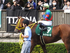 20151031 東京11R アルテミスS(G3) テイケイレーヴ 05