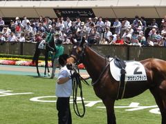 20140531 東京6R オウケンブラック 09