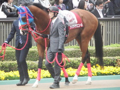 20190427 東京11R 青葉賞(G2) アドマイヤスコール 04