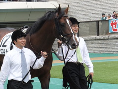 20151011 東京8R 3歳上500万下 プエルト 08