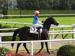 20151121 京都1R 2歳未勝利 アドマイヤムテキ 12