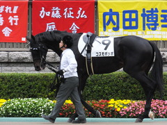20151031 東京7R 3歳上500万下 コスモポッポ 04