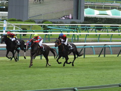 20150926 中山8R 清秋JS メジロサンノウ 16