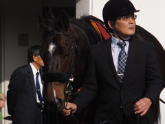 20170325 中山11R 日経賞(G2) マイネルサージュ 08