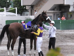 20140915 大井11R 東京記念 ユーロビート 20