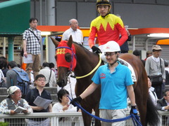 20170524 大井8R B2 マイネルグルマン 13