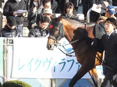 20161224 中山10R クリスマスカップ(1000) オウケンブラック 12