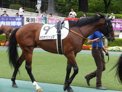 20170618 東京4R 3歳未勝利 ホウオウジャンプ 05
