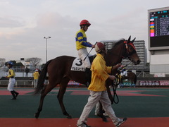 20151224 大井2R 2歳新馬 マルカンヒラリー 13