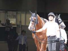 20161009 東京10R テレビ静岡賞(1600) ランドマーキュリー 02
