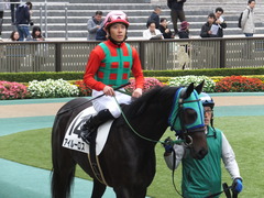 20151123 東京1R 2歳未勝利 アイルーロス 09