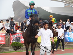 20150506 船橋競馬場 船橋10R 閃光S カベルネフラン 13