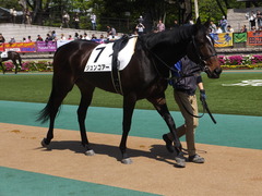 20150426 東京1R 3歳未勝利 ジュンコアー 06