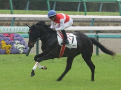 20190331 中山3R 3歳未勝利 ショウナンサジン 18