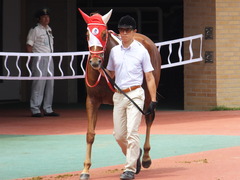20160710 中京7R 3歳上500万下 レーヌドブリエ 13