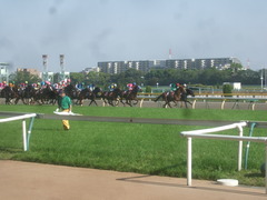 20120428 東京11R 青葉賞(G2)タムロトップステイ04