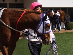 20160227 中山4R 4歳上障害未勝利 バシニアティヴ 11
