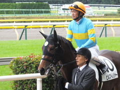 20161030 東京4R 2歳メイクデビュー ビルズトレジャー 21