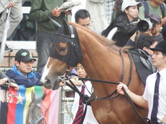 20180930 中山9R サフラン賞 2歳牝馬500万下 ポリアンサ 05