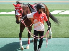 20190428 東京9R 陣馬特別(1000) ピッツバーグ 12