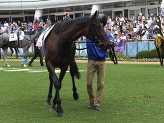 20150919 中山4R 3歳未勝利 ジュンコアー 07