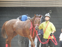 20180929 中山5R 2歳牝馬メイクデビュー オトナノジジョウ 26