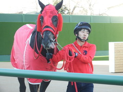 20190114 中山8R 4歳上(500) ノーザンクリス 19