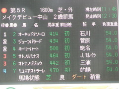 20180929 中山5R 2歳牝馬メイクデビュー オトナノジジョウ 02