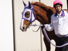 20160227 中山4R 4歳上障害未勝利 バシニアティヴ 02