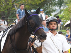 20150906 札幌2R 2歳未勝利 サラマンカ 03