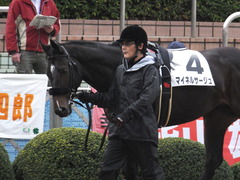 20151213 中山12R 3歳上500万下 マイネルサージュ 07