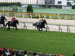 20150426 東京6R 3歳500万下 ファインライナー 12