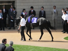 20140504 京都11R 天皇賞春 サトノノブレス 09