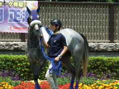 20180609 東京6R 3歳牝馬未勝利 ウェディングベール 05