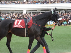 20150125 中山11R AJCC(G2) ショウナンラグーン 06