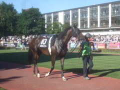ジェニファー&札幌競馬場