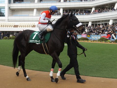 20150307 中山11R オーシャンS(G3) ショウナンアチーヴ 06