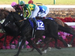 20161225 中山12R 有馬記念(G1) サトノノブレス 11