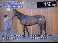 メジロボンベイの12