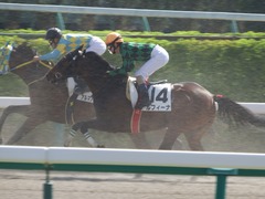 20180325 中山1R 3歳未勝利 ルフィーナ 16