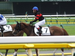 20170618 東京7R 33歳上500万下 ホウオウマリリン 15