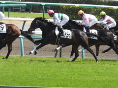 20160320 中山5R 3歳未勝利 ツボミ 17