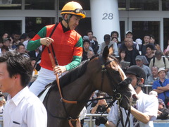 20170909 中山6R 3歳未勝利 プンメリン 14