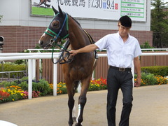 20160903 札幌12R 日高特別(1000) ツクバアスナロ 09