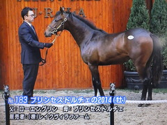プリンセスドルチェ2014