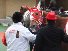 20141207 中京4R 2歳未勝利 レーヌドブリエ 14