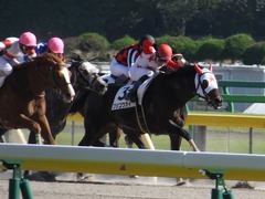 20161015 東京6R (500) ピッツバーグ 17