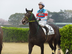 20170408 中山5R 3歳未勝利 ジュンマシュウ 21